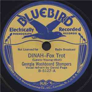 Georgia Washboard Stompers - Dinah / All This World Is Made Of Glass