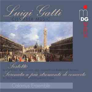 Luigi Gatti, Calamus Ensemble - Chamber Music