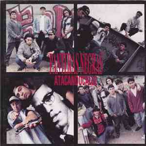 Panteras Negras - Atacando Calles