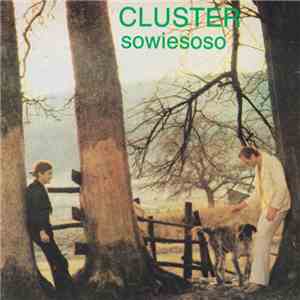Cluster - Sowiesoso