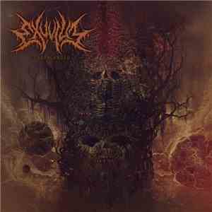 Exuvium - Subarachnoid