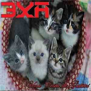 3XA - Una Cesta de Gatitios