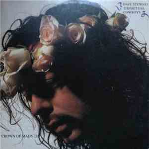 Dave Stewart And The Spiritual Cowboys - Crown Of Madness