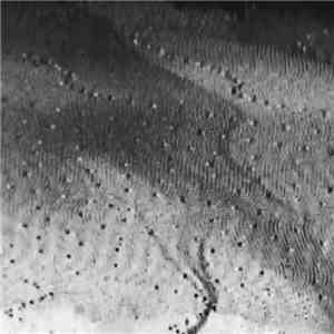 Metal Caves - Metal Caves