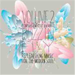 Various - Buzzin Fly Volume 2: Replenishing Music For The Modern Soul