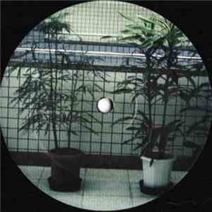 DJ Thimbles Presents Masthaz Of Phunk - Masthaz Of Phunk