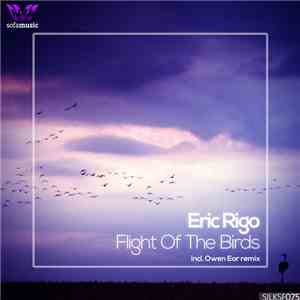 Eric Rigo - Flight Of The Birds