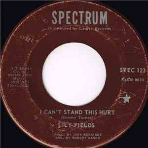 Lily Fields - I Can't Stand This Hurt