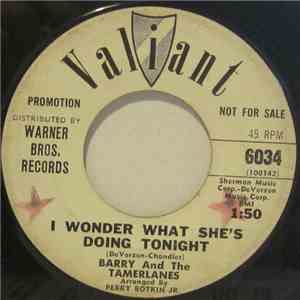 Barry And The Tamerlanes - I Wonder What She's Doing Tonight