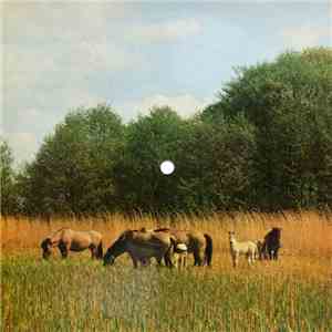 D. Roussos - Midnight Is The Time I Need You / My Friend The Wind