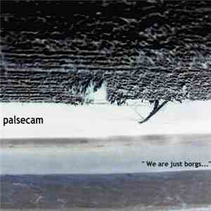 Palsecam - We Are Just Borgs