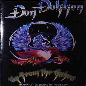 Don Dokken - Up From The Ashes