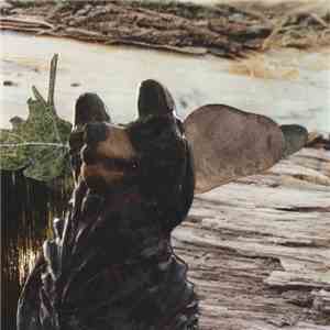 Hunter-Gatherer - Scavenger