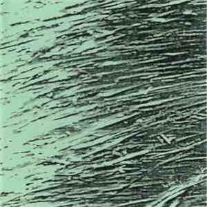 John Hudak - Tall Grasses