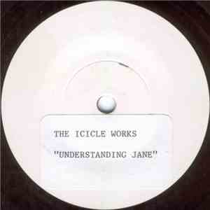 The Icicle Works - Understanding Jane
