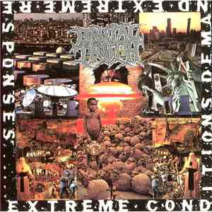 Brutal Truth - Extreme Conditions Demand Extreme Responses