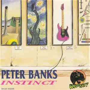 Peter Banks - Instinct