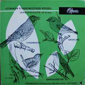 Various - Stimmen Einheimischer Vögel