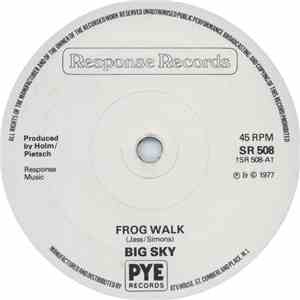 Big Sky  - Frog Walk