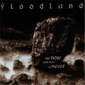 Floodland - The Now And Here Is Never