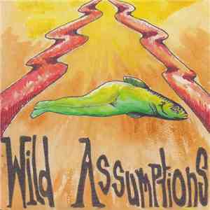 Wild Assumptions - Run Like You / Roots