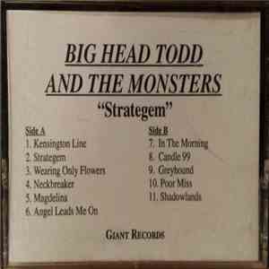 Big Head Todd And The Monsters - Strategem