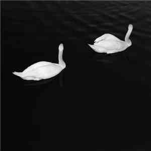 Cashmere Cat Featuring Ariana Grande - Adore