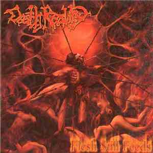 Death Reality - Flesh Still Feeds