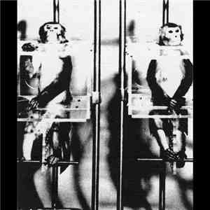 Frame By Flame - The Executive Monkey Experiment
