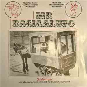 Redmayne - Mr Bacigalupo