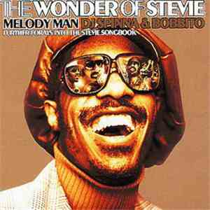 DJ Spinna & Bobbito - The Wonder Of Stevie (Melody Man: Further Forays Into ...