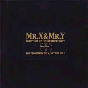 Mr. X & Mr. Y - What's Up At The Brotherfront