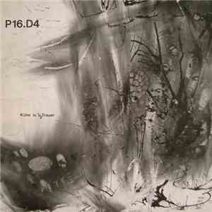 P16.D4 - Kühe In 1/2 Trauer