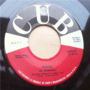 The Wanderers  - Please / Shadrach Meshack And Abednego