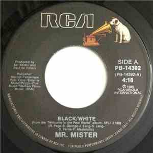 Mr. Mister - Black/White