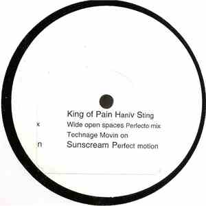 Sting Vs Hani - King Of Pain