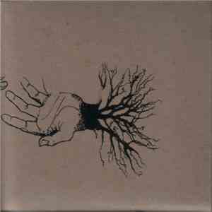Dawn  - Burning Bridges