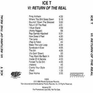 Ice-T - VI: Return Of The Real