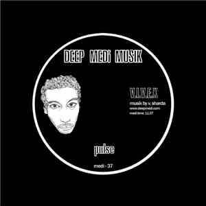 V.I.V.E.K - Pulse