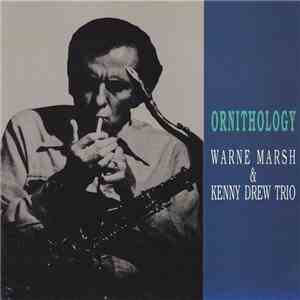 Warne Marsh - Ornithology