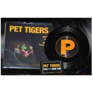 Pet Tigers - Yeah With Some Sun
