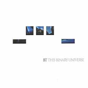 BT - This Binary Universe