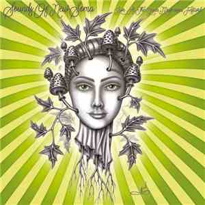 Sounds Of New Soma - Live At The Green Mushroom Festival