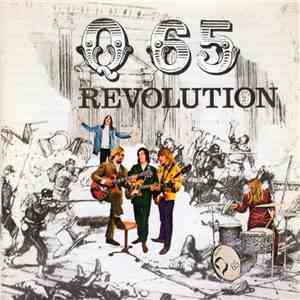 Q65 - Revolution