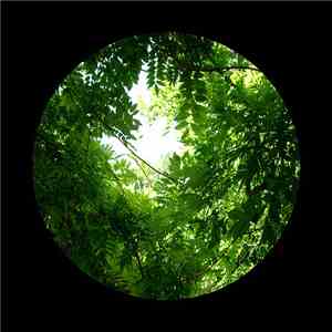 United Bible Studies - The Arboreal Observatory