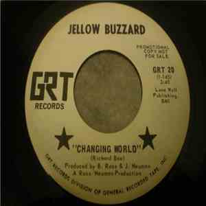 Jellow Buzzard - Changing World / Your Body's Together