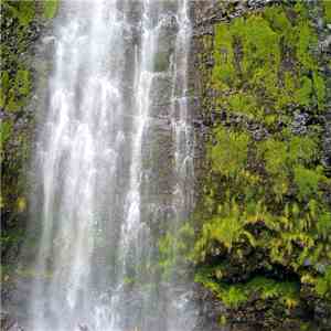 Sean Michael Frenette - Viennawaterfalls (Live 06​/​25​/​2002)