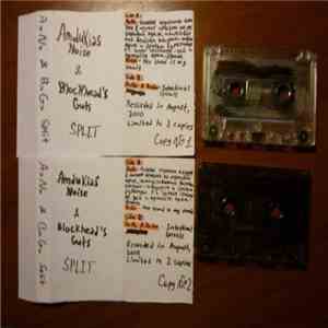 AmdukiasNoise & Blockhead's Guts - Split