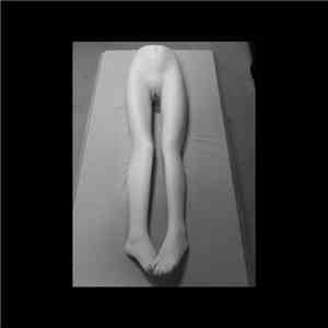 Chier - Polar era