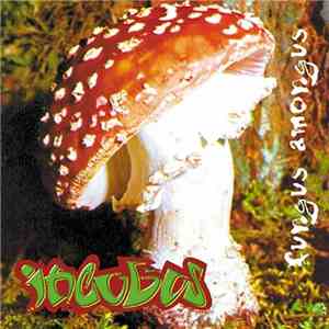 Incubus  - Fungus Amongus
